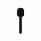 Hook Mic